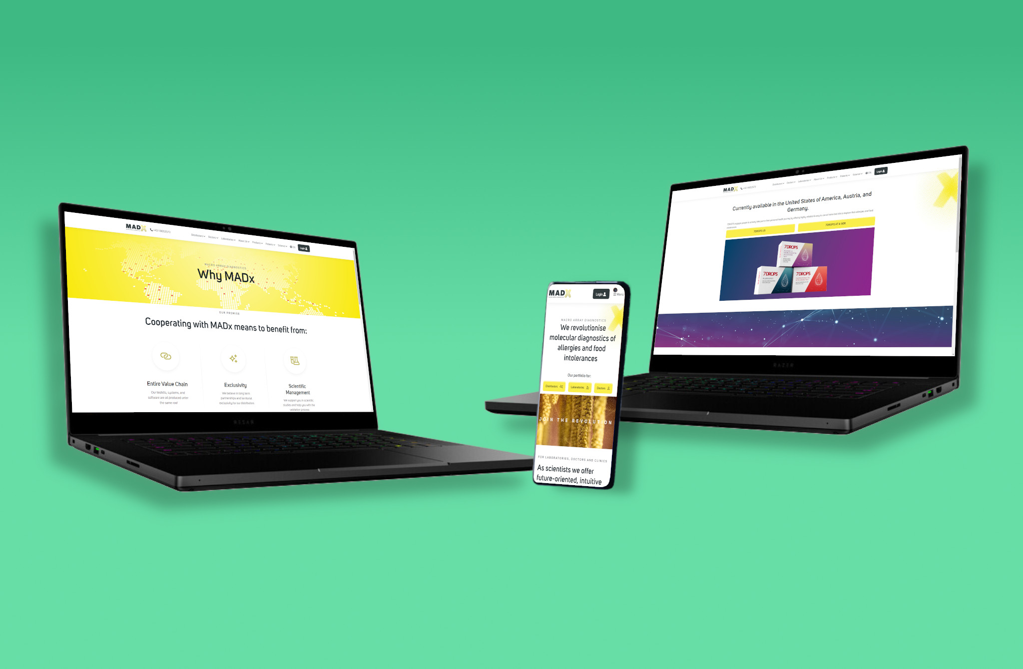 Wordpress mit Website Design Desktop